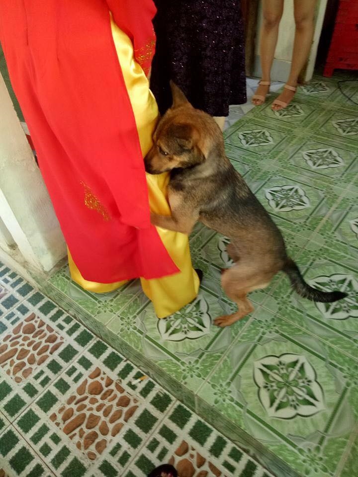 bestie chu cho khoc khi co chu len xe hoa ve nha chong