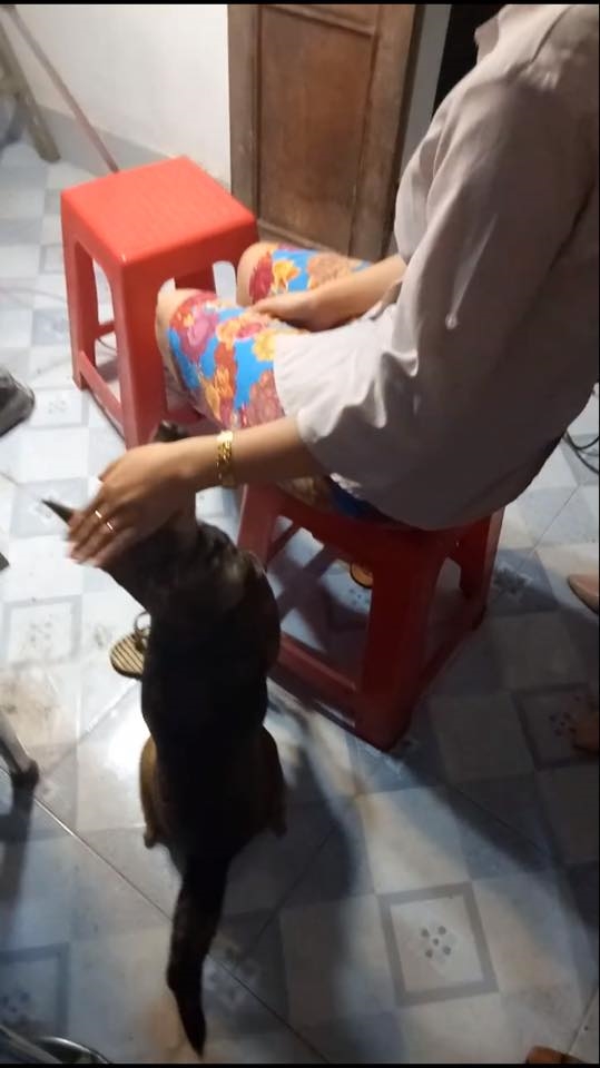 bestie chu cho khoc khi co chu len xe hoa ve nha chong