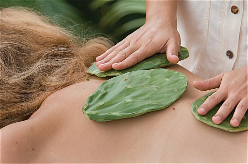 bestie spa