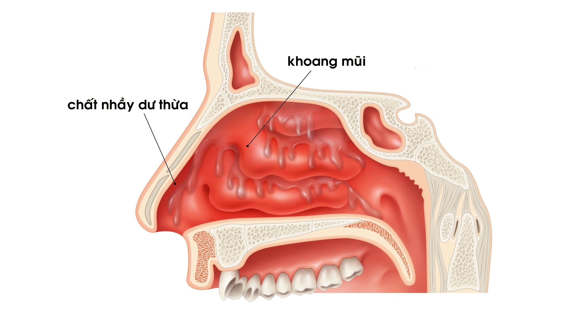 bestie khoa hoc li giai chuyen xit mau mui khi xem canh nong