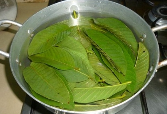 bestie chua dau bung