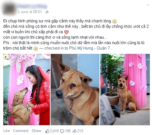 bestie chu cho khoc khi co chu len xe hoa ve nha chong