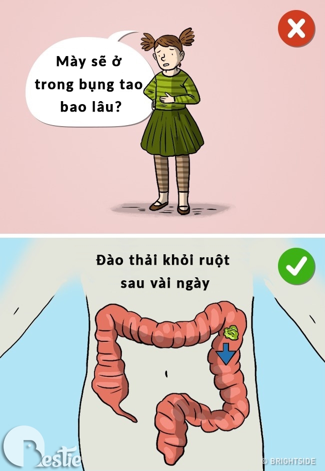 10 điều người lớn nói dối mà chúng ta vẫn "tin sái cổ"