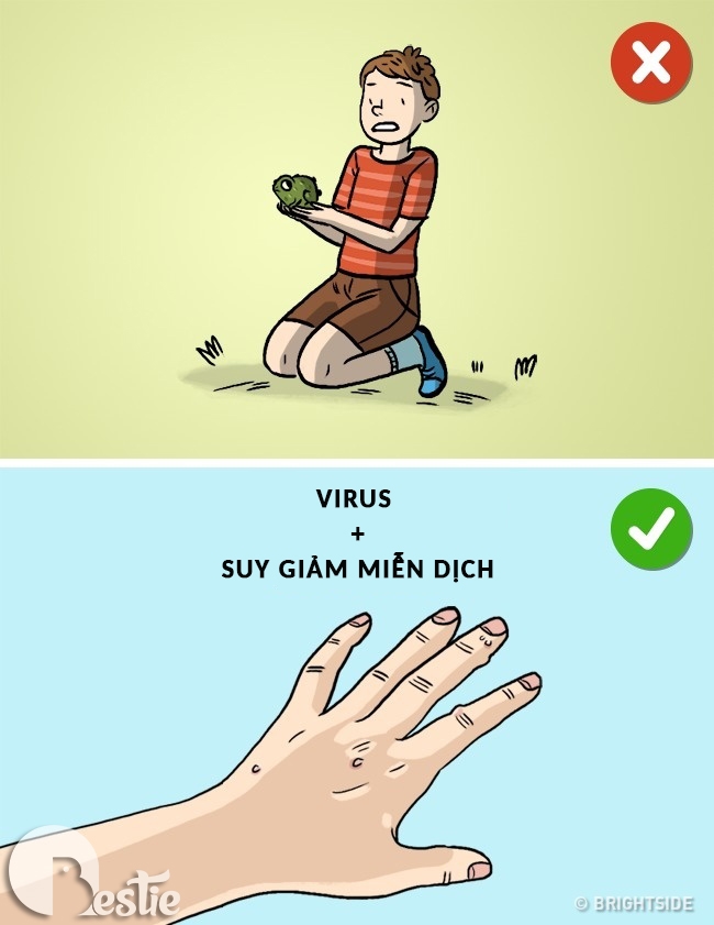 10 điều người lớn nói dối mà chúng ta vẫn "tin sái cổ"