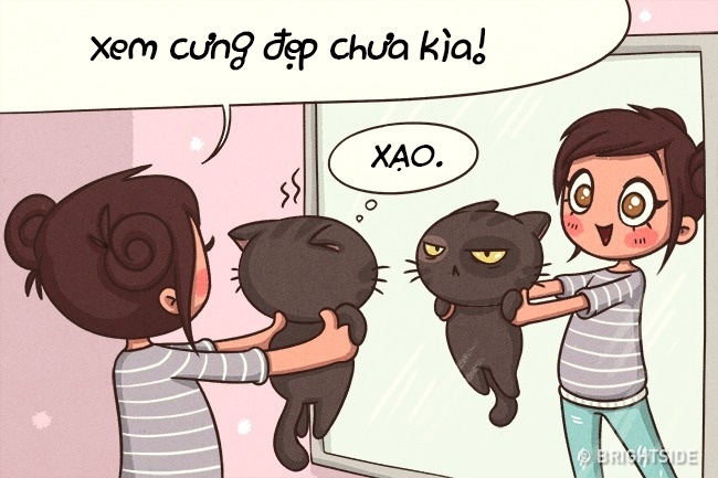 bestie pet thu cung