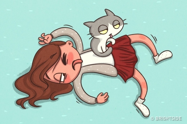bestie pet thu cung