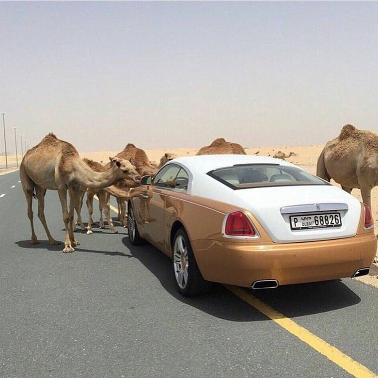 bestie dubai