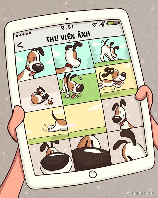 bestie pet thu cung