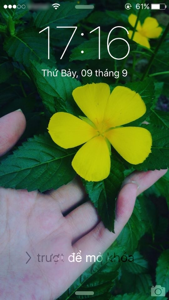bestie tieu tiet thu vi cua iPhone