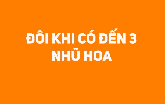 7 bí mật về nhũ hoa liệu bạn có biết?