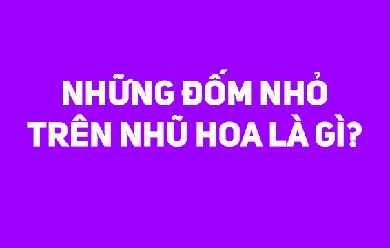 7 bí mật về nhũ hoa liệu bạn có biết?