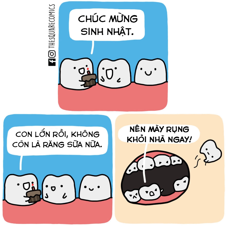 bestie dong vat