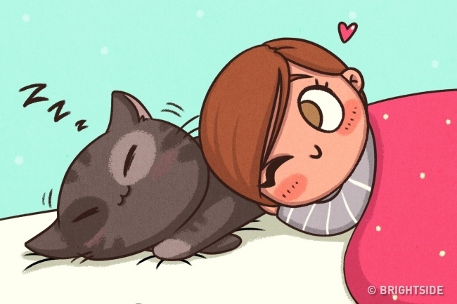 bestie pet thu cung