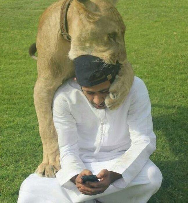 bestie dubai