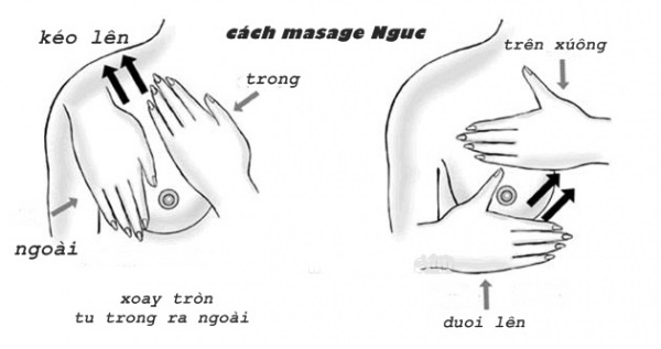 bestie-cach-massage-nguc