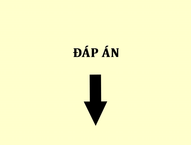 Đố bạn chỉ dùng 5 giây để tìm ra những con vật đang ẩn mình trong bức ảnh sau