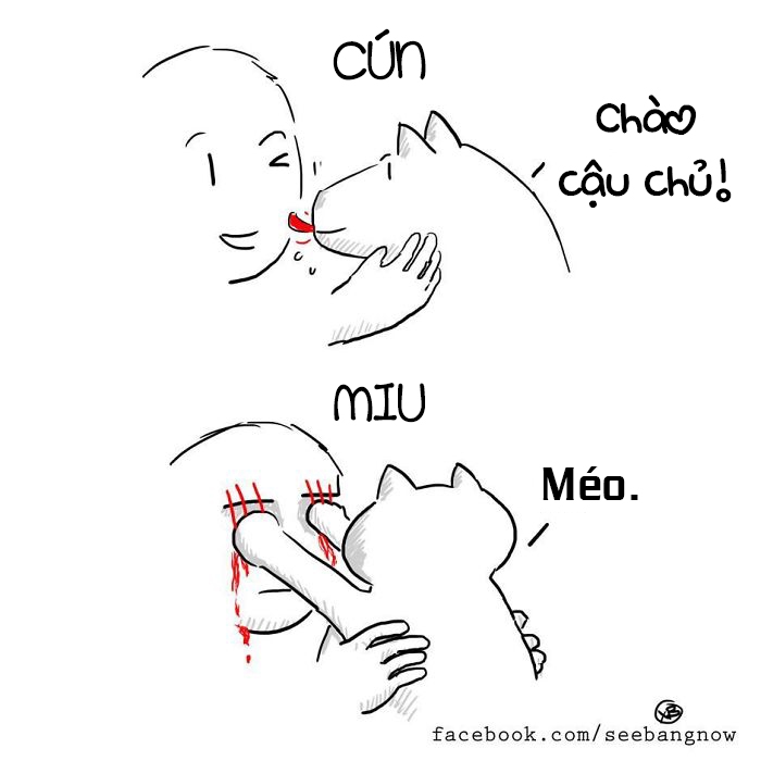 bestie pet thu cung