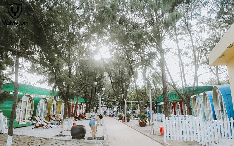 bestie homestay Vung Tau