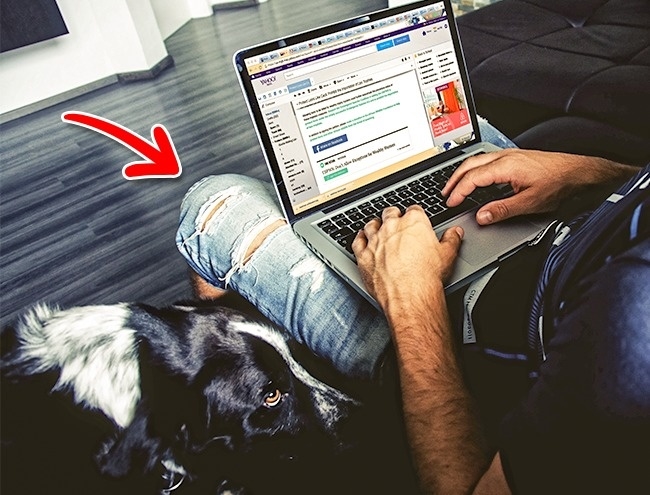 bestie laptop