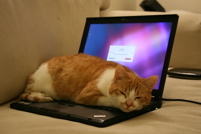 bestie laptop