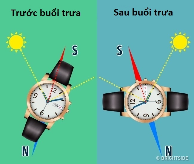 bestie-meo-vat-cuoc-song