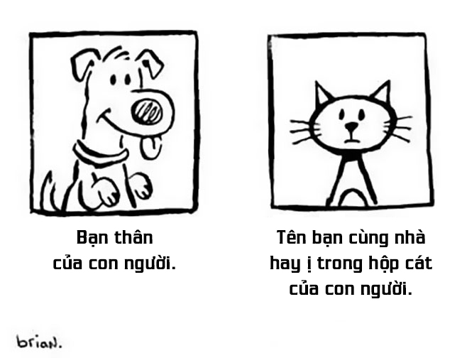 bestie pet thu cung