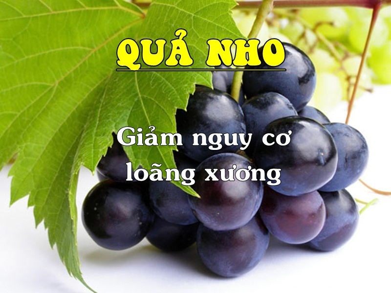 bestie nhung loai qua tot cho tri benh