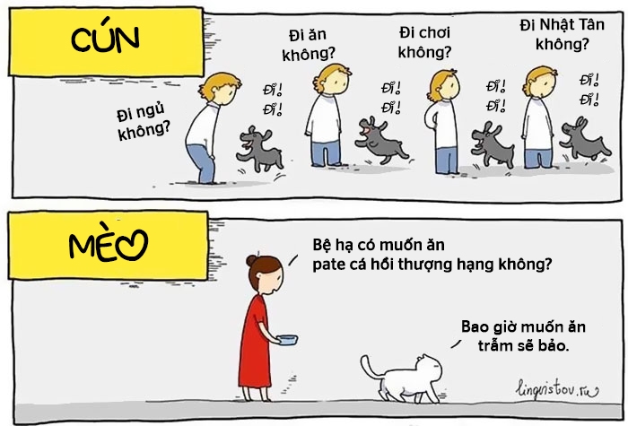 bestie pet thu cung