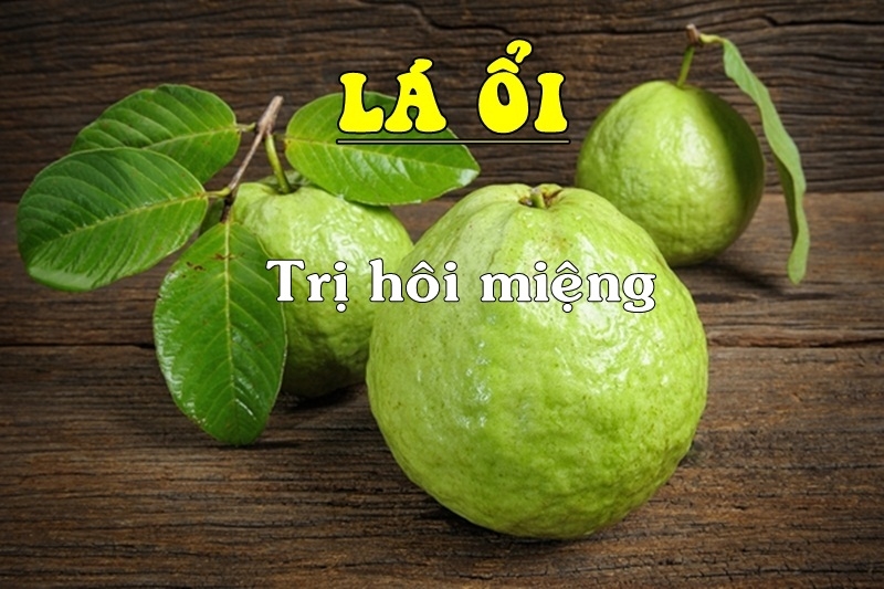 bestie nhung loai qua tot cho tri benh