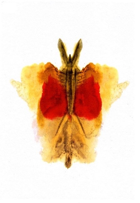Bài trắc nghiệm tâm lý Hermann Rorschach