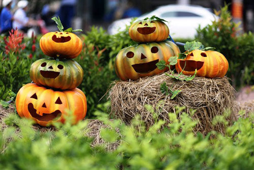 bestie-dia-diem-vui-choi-dip-Halloween