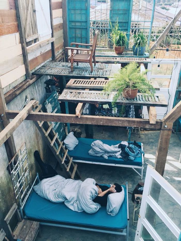 bestie vi sao khong nen di da lat mua nay 8