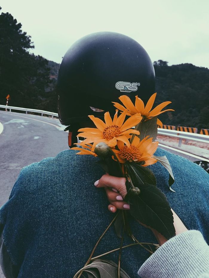 bestie vi sao khong nen di da lat mua nay 13