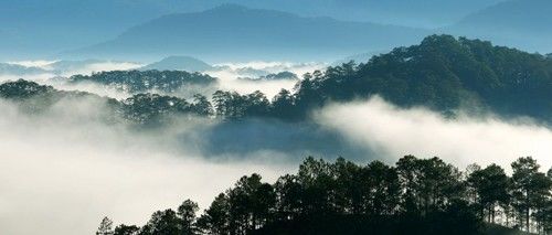 bestie vi sao khong nen di da lat mua nay 3