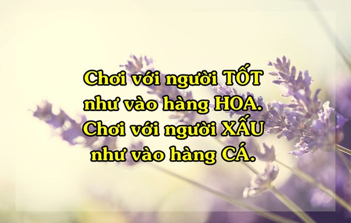bestie nhung cau noi dat gia ve cuoc song