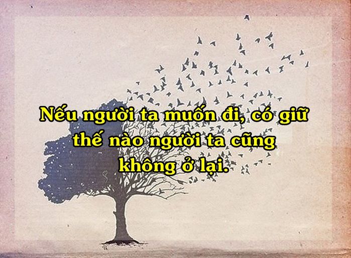 bestie nhung cau noi dat gia ve cuoc song