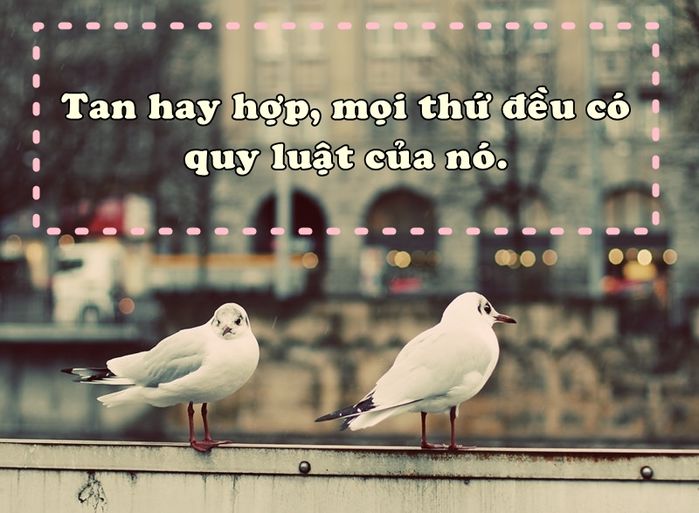 bestie nhung loi noi dat gia