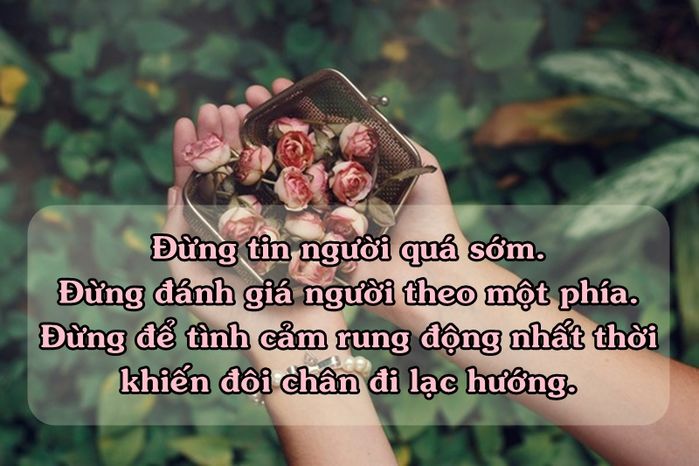 bestie bai hoc quy gia cho nam 2017