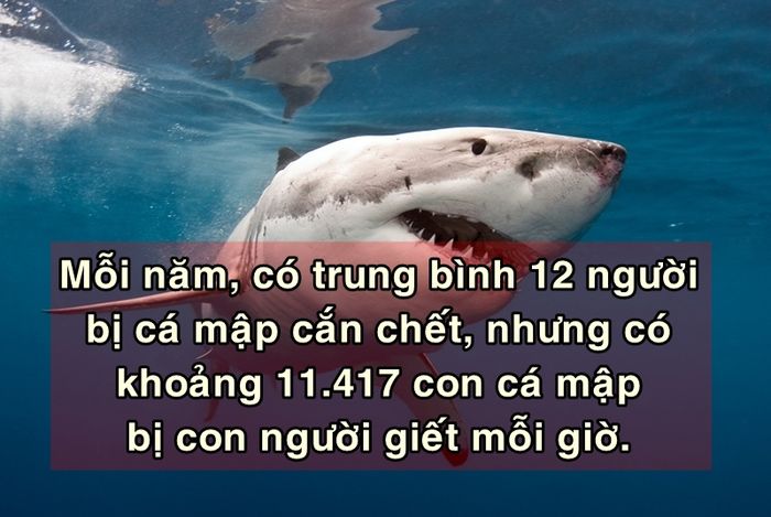 bestie su that rung minh ve cai chet