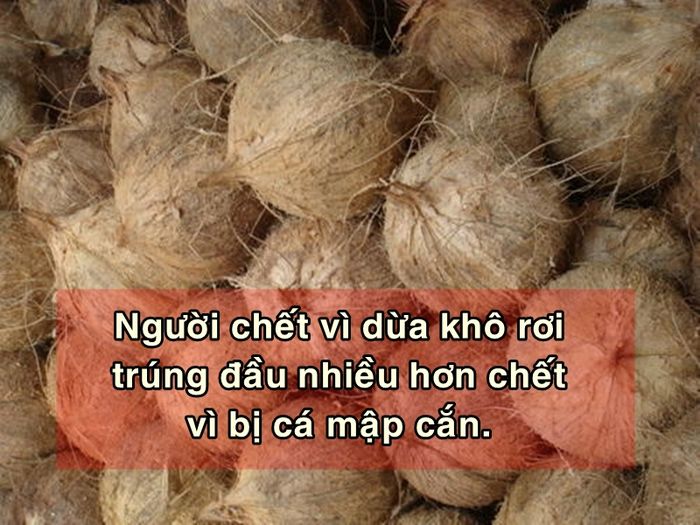 bestie su that rung minh ve cai chet