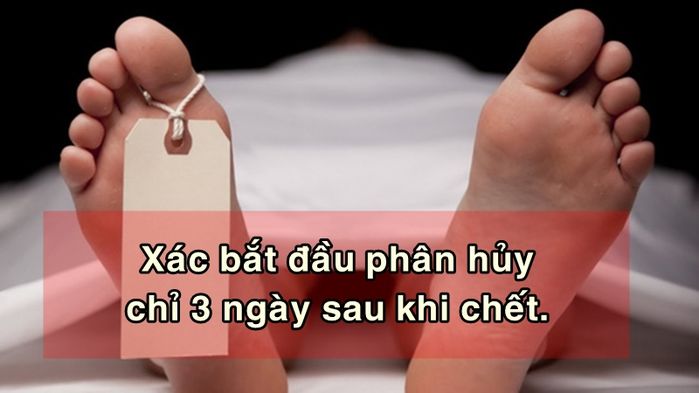 bestie su that rung minh ve cai chet