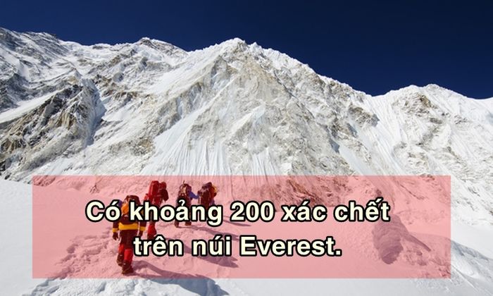 bestie su that rung minh ve cai chet