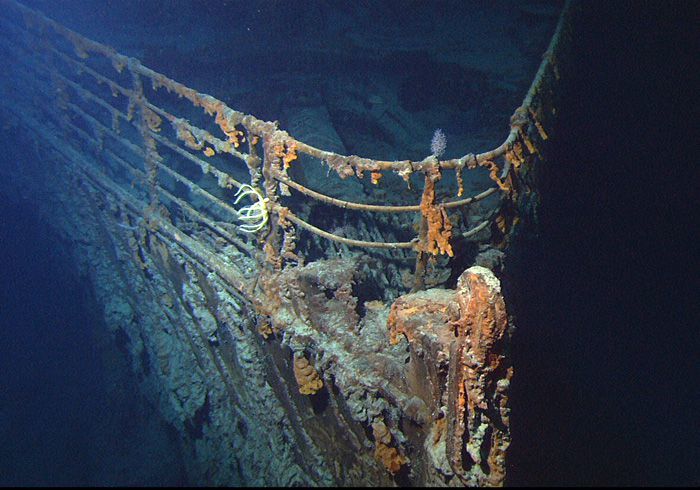 Bestie chim tau titanic