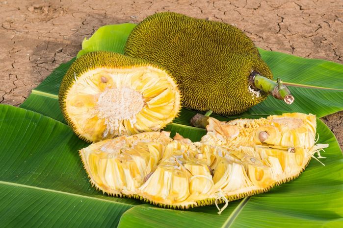 Những phương thức làm chín trái cây an toàn chỉ sau 1 đêm