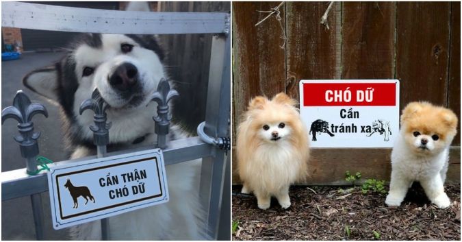 bestie chong trom khi di du lich