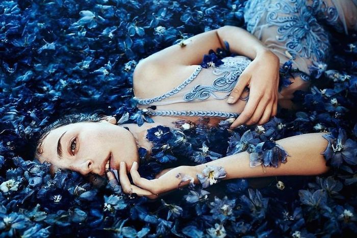 Bestie Bella Kotak