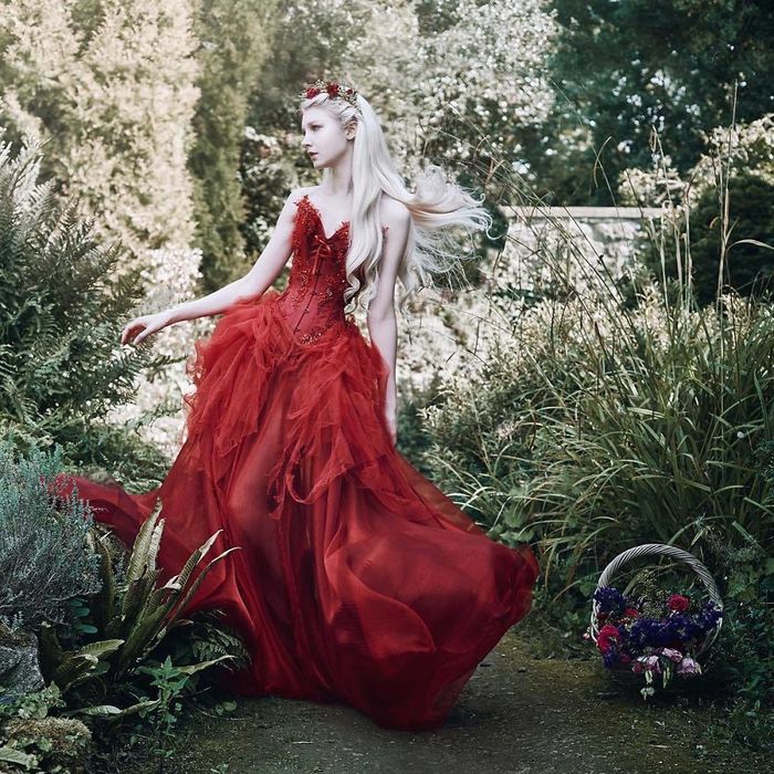 Bestie Bella Kotak