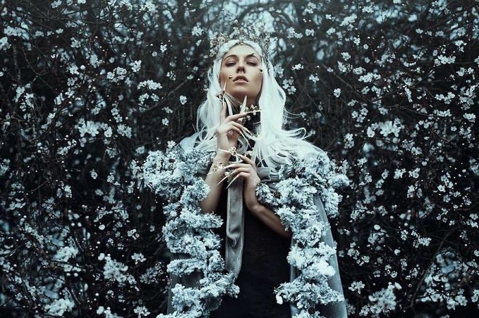 Bestie Bella Kotak