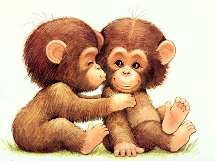 Màu sắc mang lại may mắn cho người tuổi Thân là đen, vàng và xám