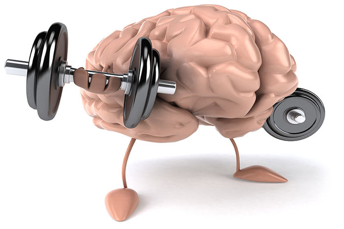 Những điều thú vị về bộ não con người mà có thể bạn chưa biết